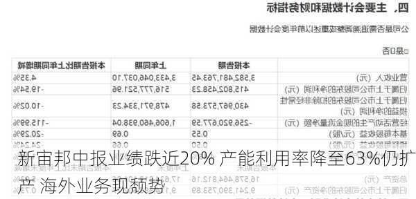 新宙邦中报业绩跌近20% 产能利用率降至63%仍扩产 海外业务现颓势