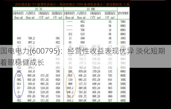 国电电力(600795)：经营性收益表现优异 淡化短期着眼稳健成长