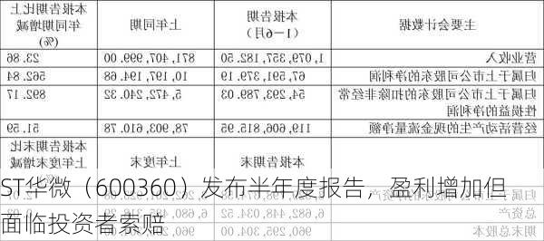 ST华微（600360）发布半年度报告，盈利增加但面临投资者索赔