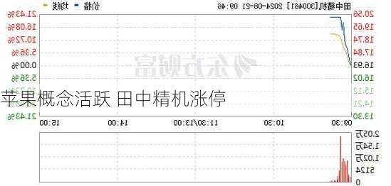 苹果概念活跃 田中精机涨停