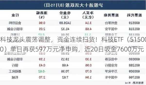 科技龙头震荡调整，资金连续扫货！科技ETF（515000）单日再获597万元净申购，近20日吸金7600万元