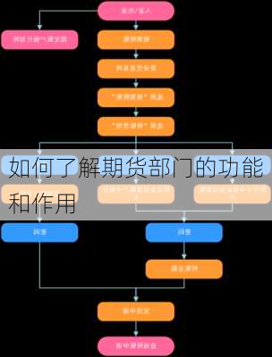 如何了解期货部门的功能和作用