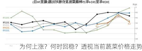 为何上涨？何时回稳？透视当前蔬菜价格走势