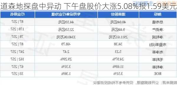 道森地探盘中异动 下午盘股价大涨5.08%报1.59美元