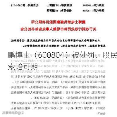 鹏博士（600804）被处罚，股民索赔可期