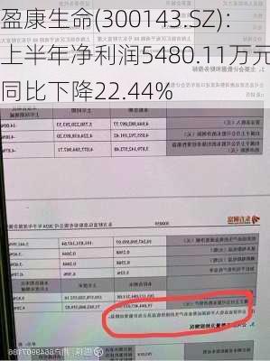 盈康生命(300143.SZ)：上半年净利润5480.11万元 同比下降22.44%