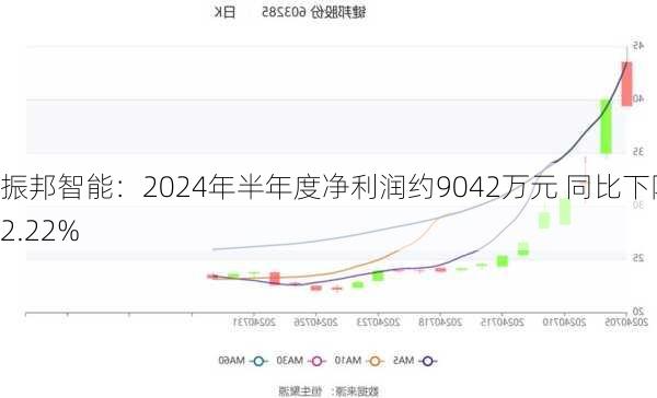 振邦智能：2024年半年度净利润约9042万元 同比下降2.22%