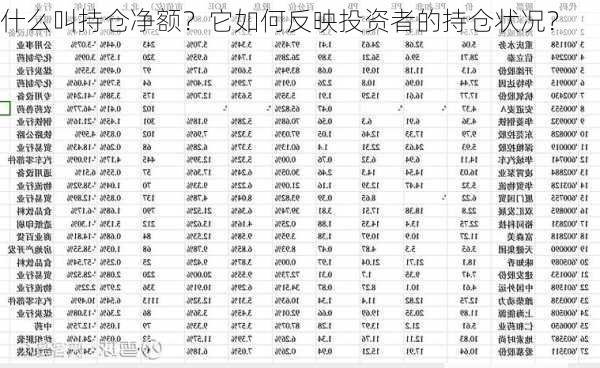 什么叫持仓净额？它如何反映投资者的持仓状况？