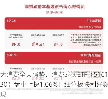 大消费全天强势，消费龙头ETF（516130）盘中上探1.06%！细分板块利好频现！