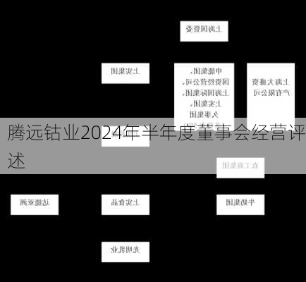 腾远钴业2024年半年度董事会经营评述