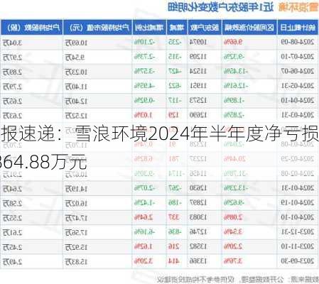 财报速递：雪浪环境2024年半年度净亏损9864.88万元