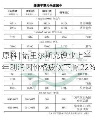 原料 | 诺里尔斯克镍业上半年利润因价格疲软下滑 22%