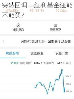 突然回调！红利基金还能不能买？