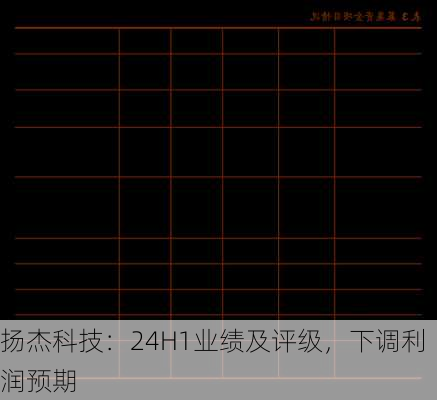 扬杰科技：24H1业绩及评级，下调利润预期