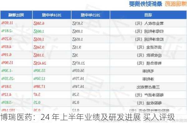 博瑞医药：24 年上半年业绩及研发进展 买入评级