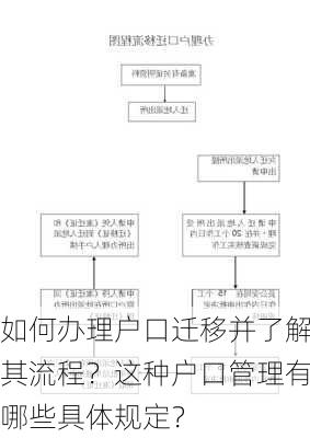 如何办理户口迁移并了解其流程？这种户口管理有哪些具体规定？