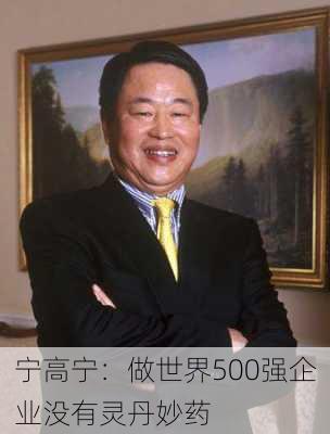 宁高宁：做世界500强企业没有灵丹妙药