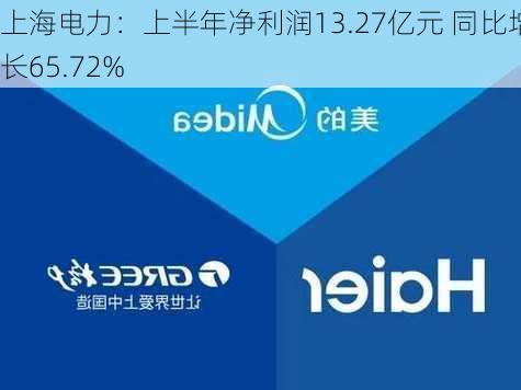 上海电力：上半年净利润13.27亿元 同比增长65.72%