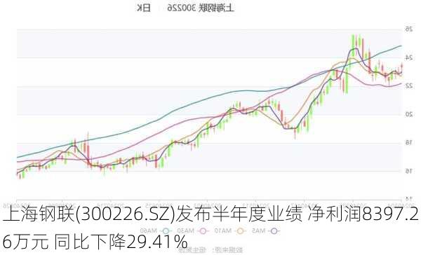 上海钢联(300226.SZ)发布半年度业绩 净利润8397.26万元 同比下降29.41%