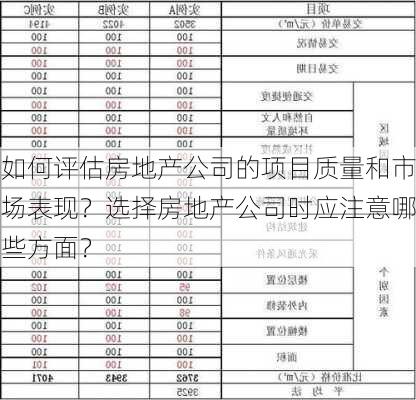 如何评估房地产公司的项目质量和市场表现？选择房地产公司时应注意哪些方面？