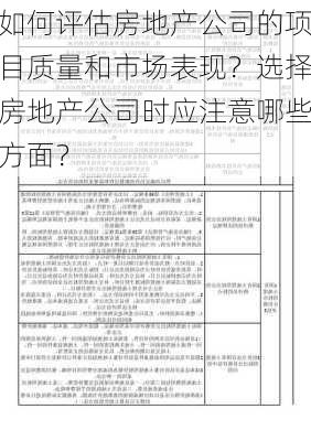 如何评估房地产公司的项目质量和市场表现？选择房地产公司时应注意哪些方面？