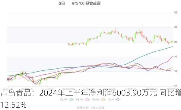 青岛食品：2024年上半年净利润6003.90万元 同比增长12.52%