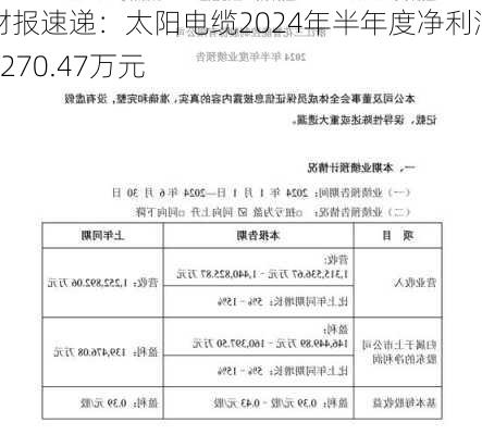 财报速递：太阳电缆2024年半年度净利润6270.47万元