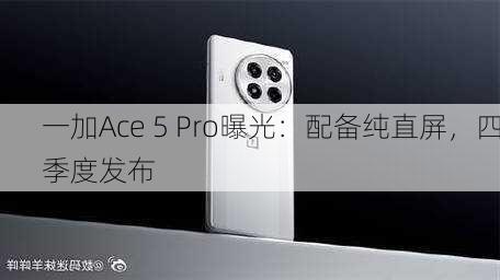 一加Ace 5 Pro曝光：配备纯直屏，四季度发布