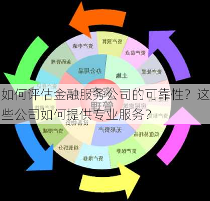 如何评估金融服务公司的可靠性？这些公司如何提供专业服务？