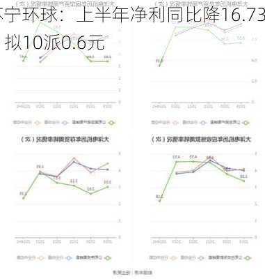 苏宁环球：上半年净利同比降16.73% 拟10派0.6元