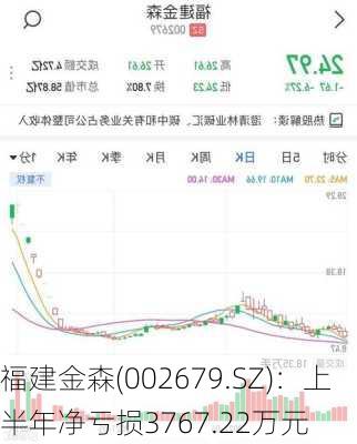 福建金森(002679.SZ)：上半年净亏损3767.22万元