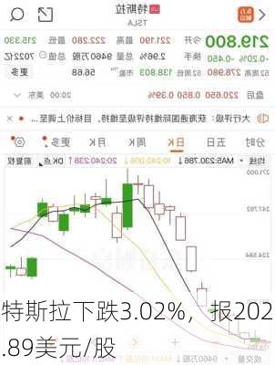 特斯拉下跌3.02%，报202.89美元/股