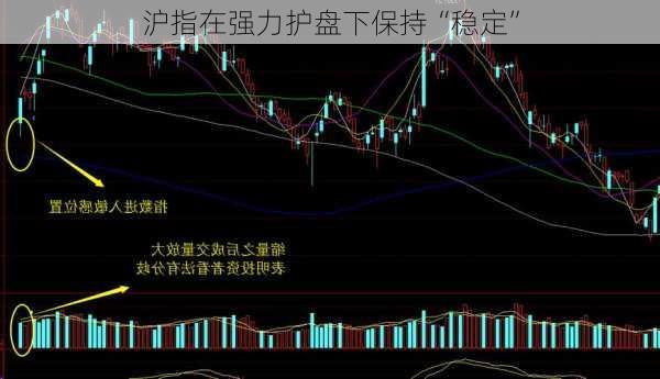 沪指在强力护盘下保持“稳定”