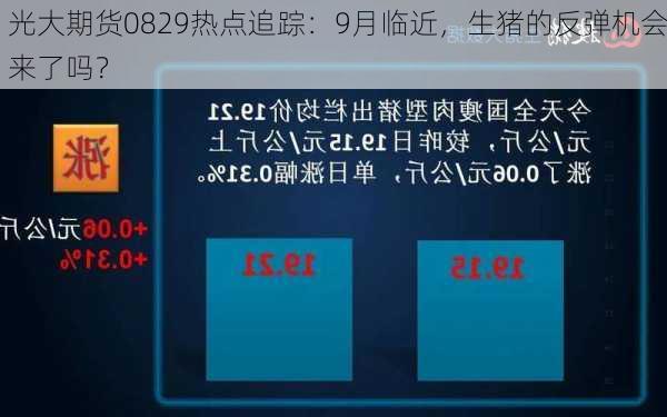 光大期货0829热点追踪：9月临近，生猪的反弹机会来了吗？