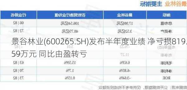 景谷林业(600265.SH)发布半年度业绩 净亏损819.59万元 同比由盈转亏