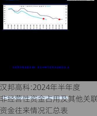 汉邦高科:2024年半年度非经营性资金占用及其他关联资金往来情况汇总表