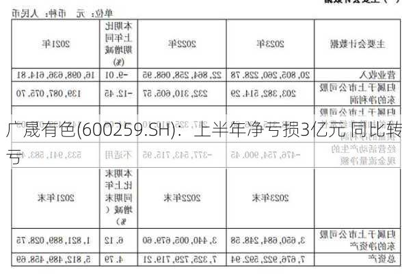 广晟有色(600259.SH)：上半年净亏损3亿元 同比转亏