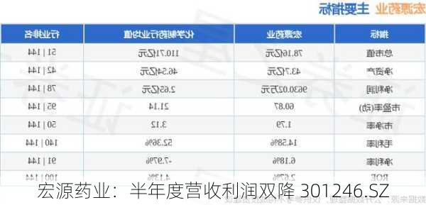 宏源药业：半年度营收利润双降 301246.SZ