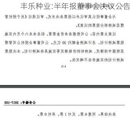 丰乐种业:半年报董事会决议公告