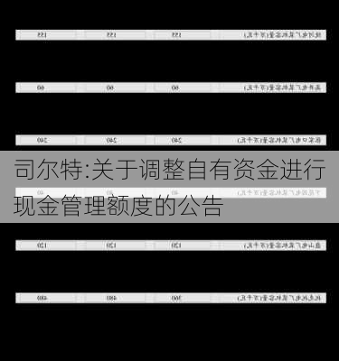 司尔特:关于调整自有资金进行现金管理额度的公告