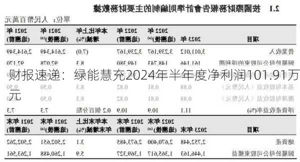 财报速递：绿能慧充2024年半年度净利润101.91万元