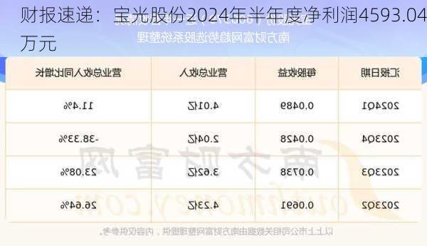 财报速递：宝光股份2024年半年度净利润4593.04万元