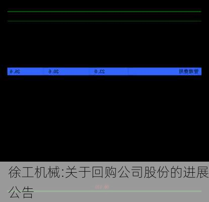 徐工机械:关于回购公司股份的进展公告