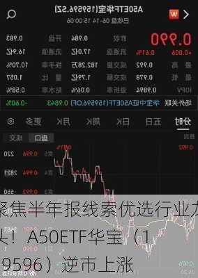 聚焦半年报线索优选行业龙头！A50ETF华宝（159596）逆市上涨