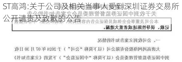 ST高鸿:关于公司及相关当事人受到深圳证券交易所公开谴责及致歉的公告