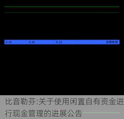 比音勒芬:关于使用闲置自有资金进行现金管理的进展公告