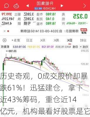 历史奇观，0成交股价却暴跌61%！迅猛建仓，拿下近43%筹码，重仓近14亿元，机构最看好股票是它