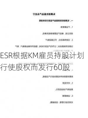 ESR根据KM雇员持股计划行使股权而发行60股