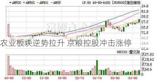 农业板块逆势拉升 京粮控股冲击涨停