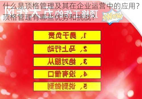 什么是顶格管理及其在企业运营中的应用？顶格管理有哪些优势和挑战？